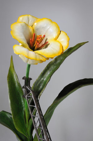 Future Flower – Open Tulip